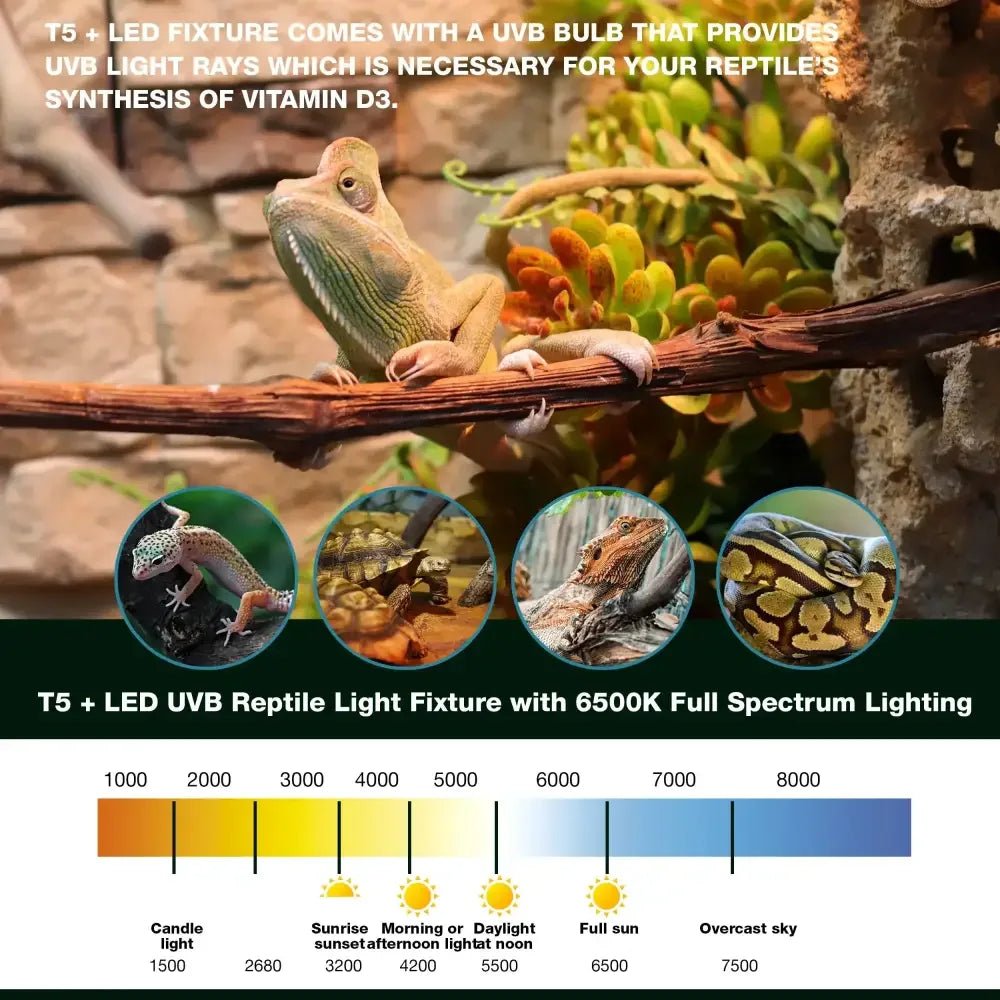Talis - us Double Fixture with Arcadia Bulb and LED Bar HO T5 UVB Reptiles Aquarium Light Arboreal Terrarium Hood - Talis Us