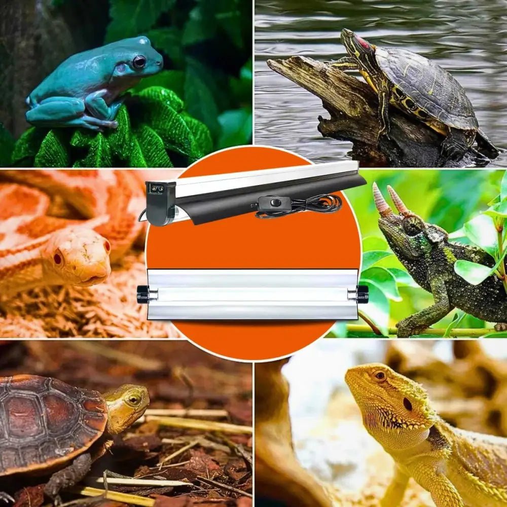 Talis - us Reptile Light Fixture with 10.0 UVB T5 HO Reptile Terrarium Lamp for Bearded Dragon Lizards and Tortoises - Talis Us