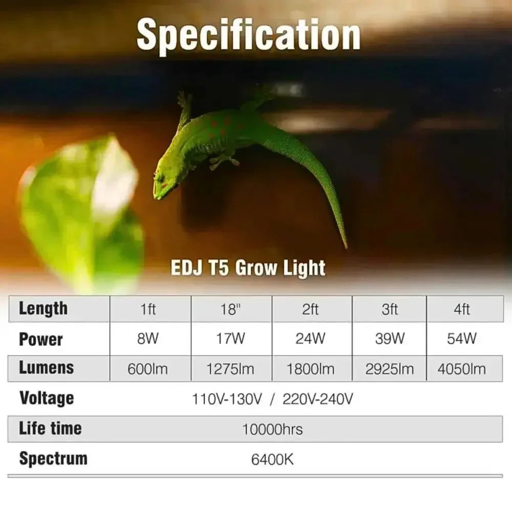 Talis - us Reptile Light Fixture with 10.0 UVB T5 HO Reptile Terrarium Lamp for Bearded Dragon Lizards and Tortoises - Talis Us