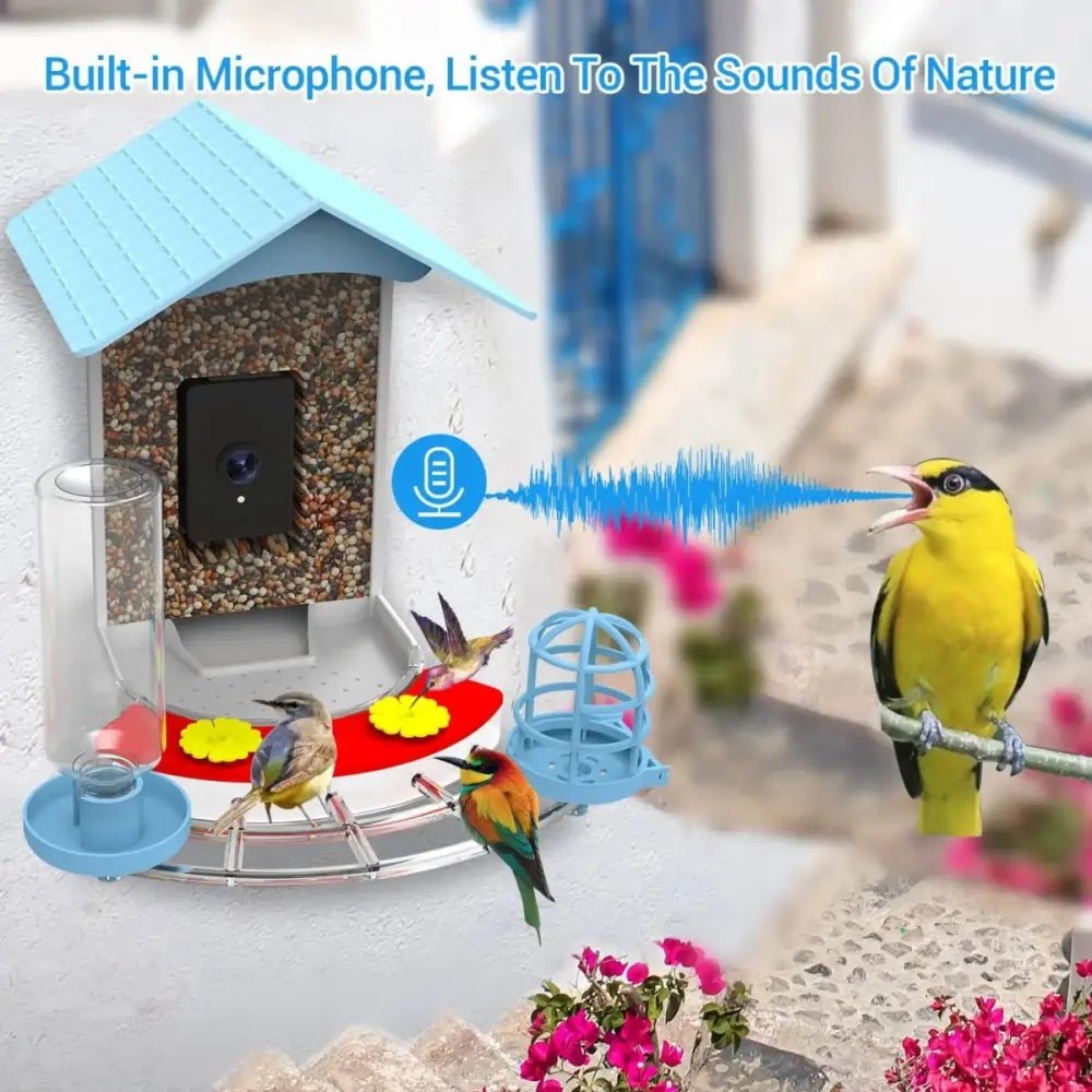 Talis - us Smart Bird Feeder Auto Capture Birds Videos & Motion Detection Wireless Camera - Talis Us