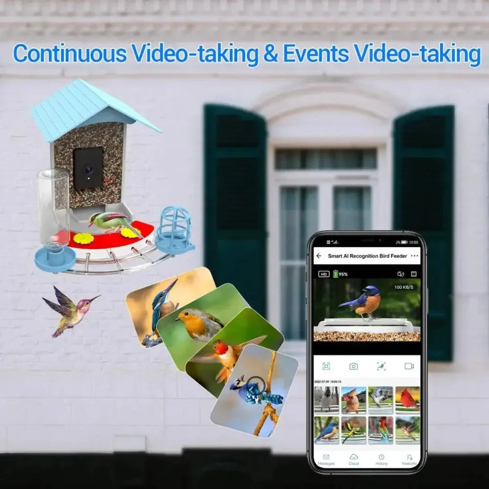 Talis - us Smart Bird Feeder Auto Capture Birds Videos & Motion Detection Wireless Camera - Talis Us