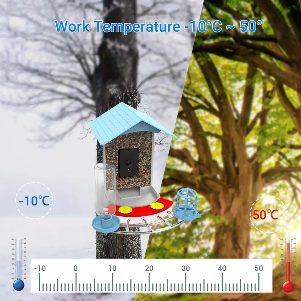 Talis - us Smart Bird Feeder Auto Capture Birds Videos & Motion Detection Wireless Camera - Talis Us