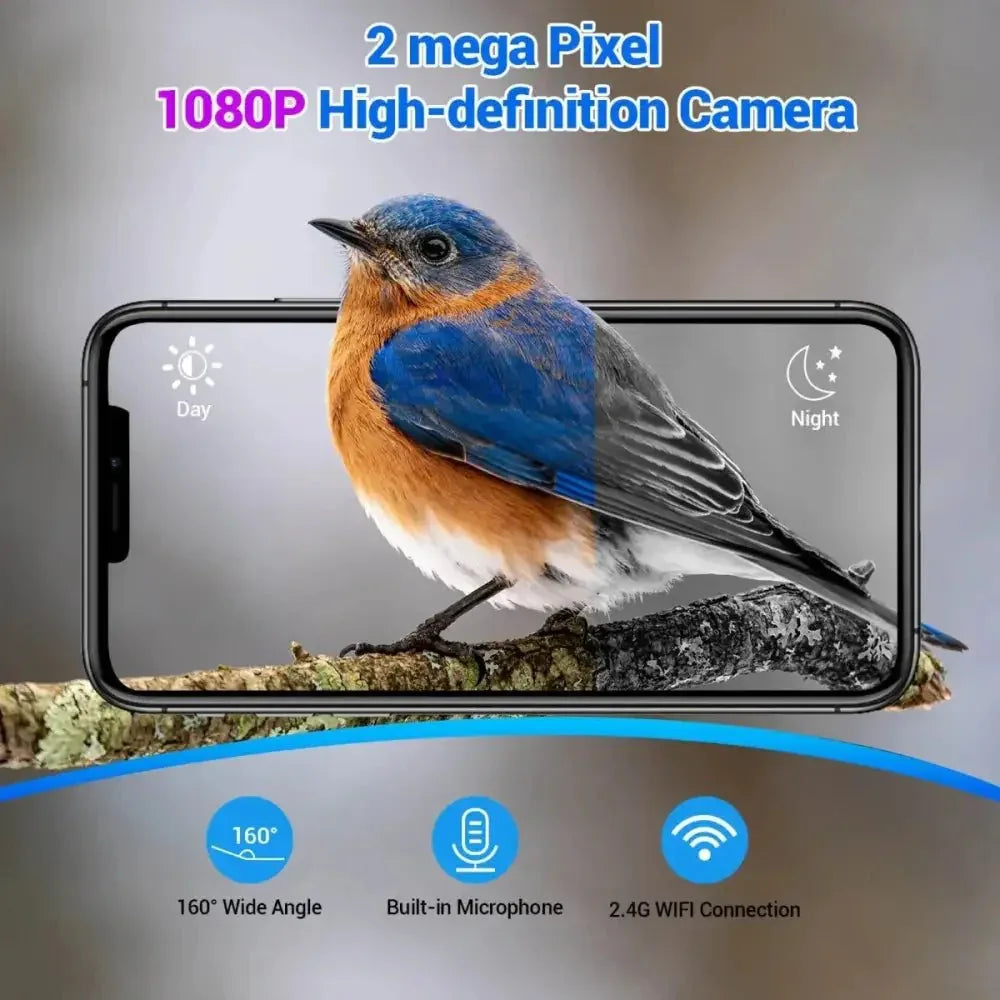 Talis - us Smart Bird Feeder Auto Capture Birds Videos & Motion Detection Wireless Camera - Talis Us