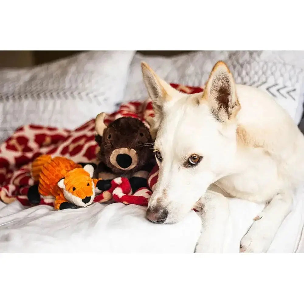 Tall Tails Fox With Squeaker Dog Toys 12" - Talis Us