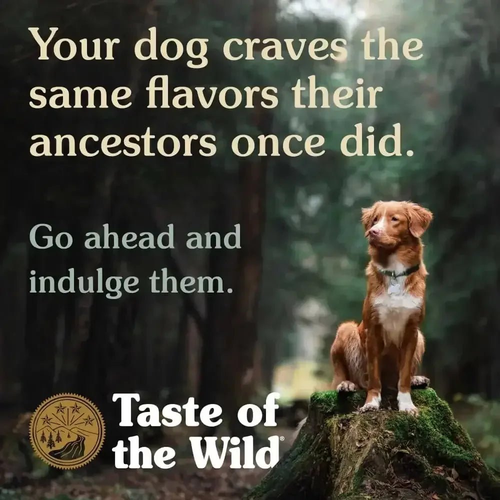 Taste of the Wild® High Prairie® Bison In Gravy Canine Formula 13.2 Oz - Talis Us