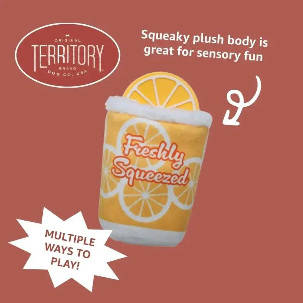 Territory 2 in 1 Plush Squeaker Removable Natural Rubber Fetch Dog Toy - Talis Us