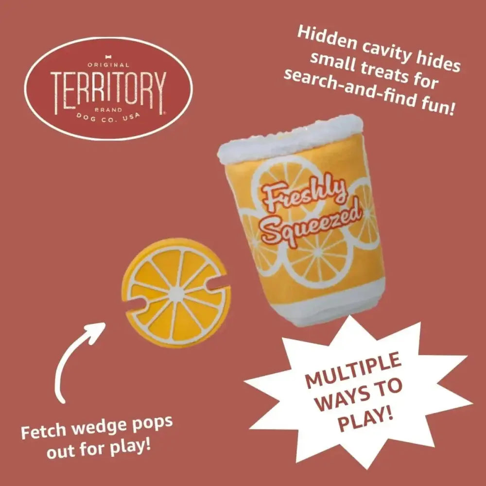 Territory 2 in 1 Plush Squeaker Removable Natural Rubber Fetch Dog Toy - Talis Us