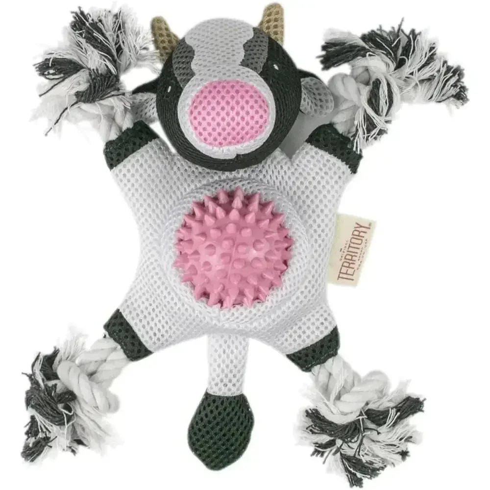 Territory 2 in 1 No Stuffing Removable Fetch Ball Tug Dog Toy - Talis Us
