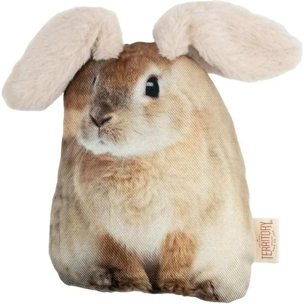 Territory Interactive Floppy Friends Toy for Dogs 10" - Talis Us