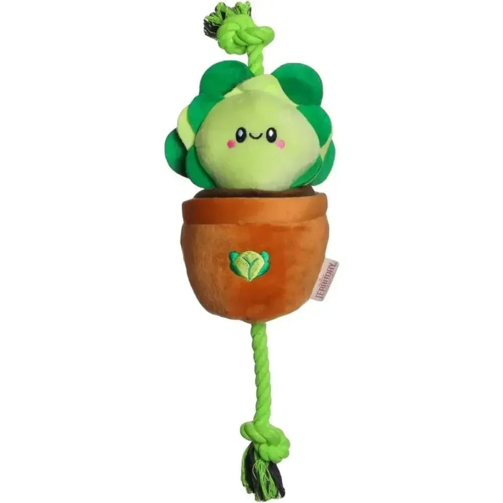 Territory Interactive Play Plush Treat - and - Tug Reward Toy for Dogs - Talis Us