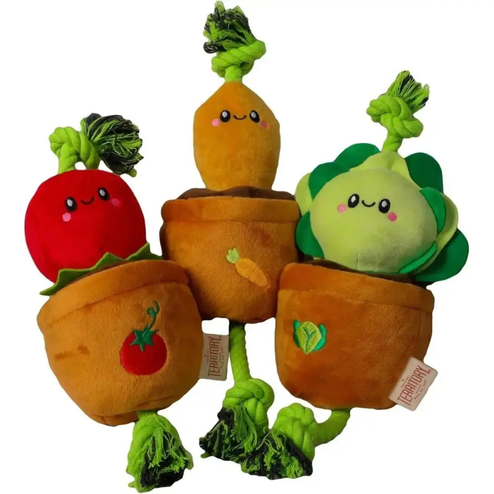 Territory Interactive Play Plush Treat - and - Tug Reward Toy for Dogs - Talis Us
