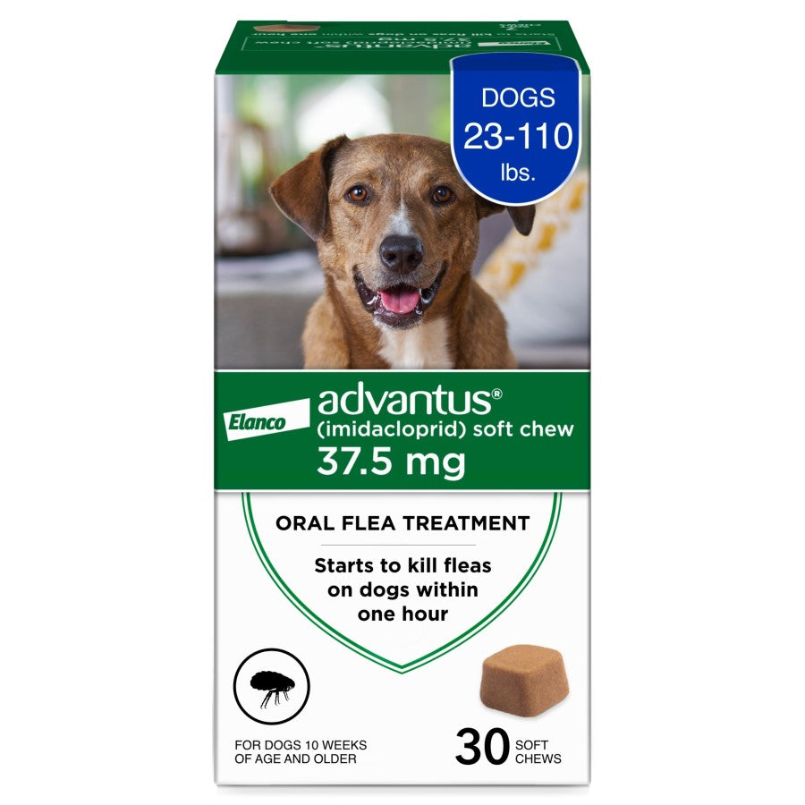 Talis Us Advantus Soft Chews for Large Dogs, 37.5 mg, 30 count, featuring a dog and product details on the packaging.
