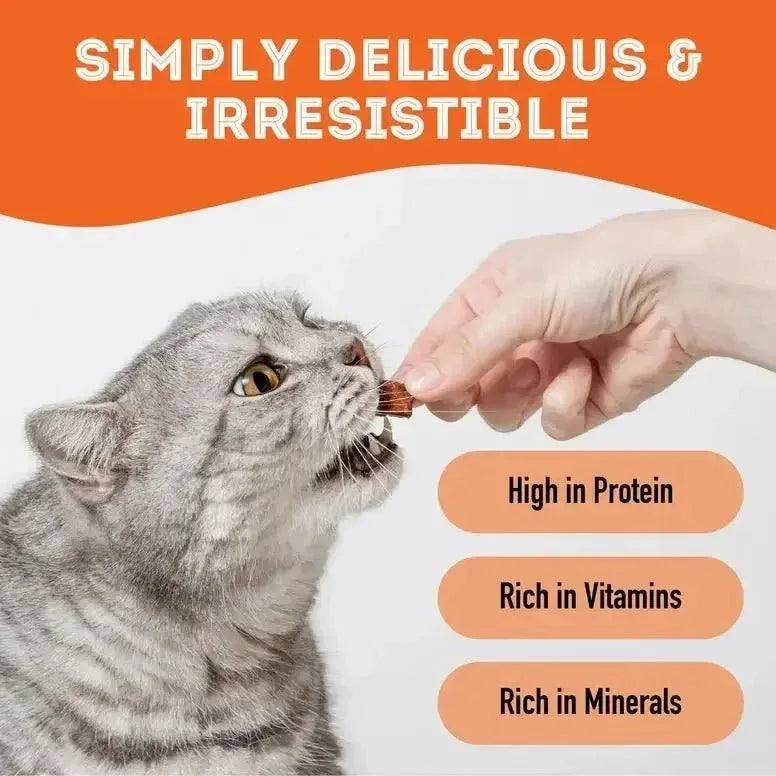 The Granville Island Pumpkin Dehydrated Pet Treat For Dogs & Cats Vegan 2.8 oz - Talis Us