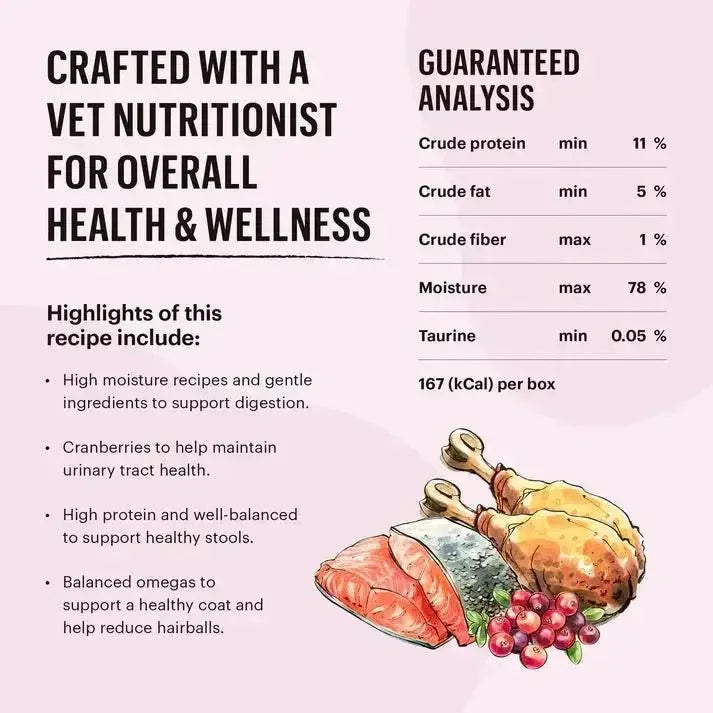 The Honest Kitchen Cate Grain Free Salmon & Turkey Pate Wet Cat Food 12/5.5oz - Talis Us