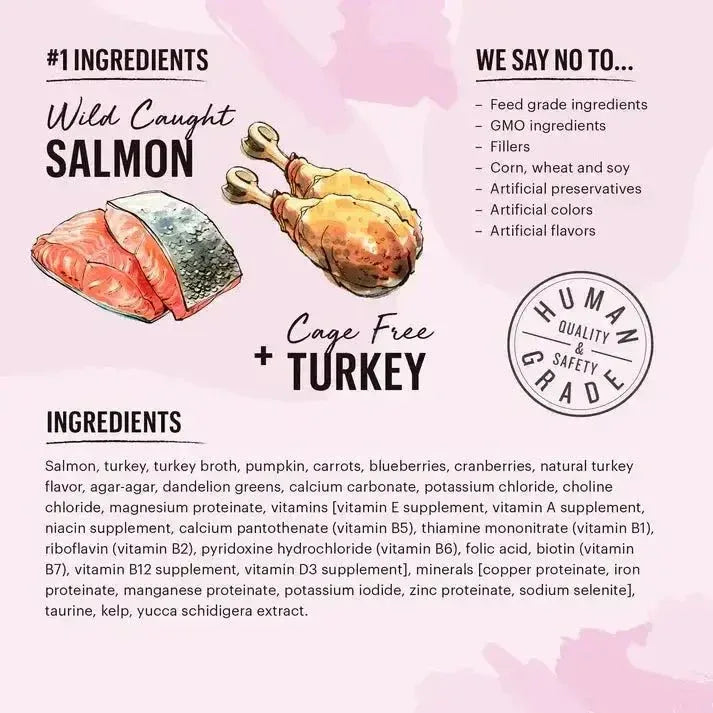The Honest Kitchen Cate Grain Free Salmon & Turkey Pate Wet Cat Food 12/5.5oz - Talis Us