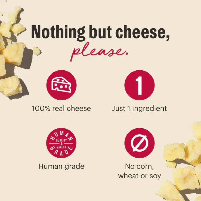 The Honest Kitchen Crunchy Gouda Cheese Bites Dog Treats 2oz - Talis Us
