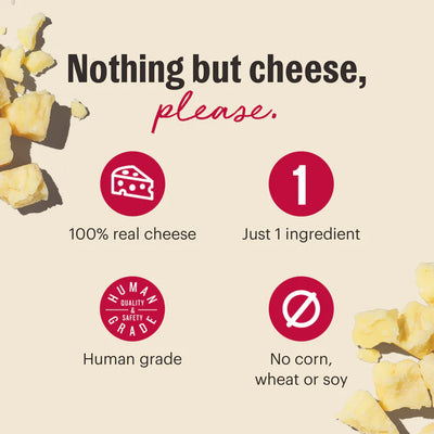 The Honest Kitchen gouda cheese dog treats made with 100% real cheese and human grade ingredients