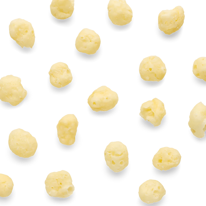 Gouda cheese dog treats from The Honest Kitchen with a crunchy texture for playful pups