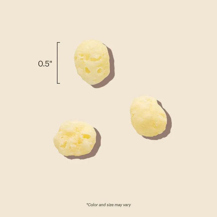 The Honest Kitchen gouda cheese dog treats in small bite-sized pieces for flavorful snacking