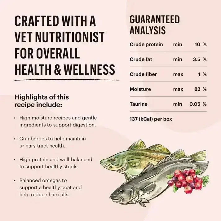 The Honest Kitchen Grain Free Minced Salmon & Cod in Fish Broth Gravy Wet Cat Food 12/5.5oz - Talis Us