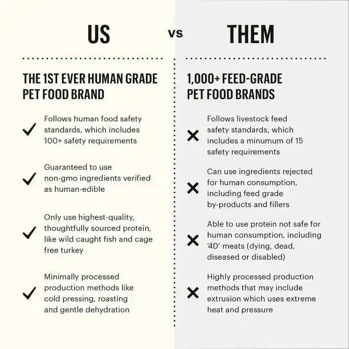 The Honest Kitchen Whole Food Clusters Grain Free Chicken Dry Dog Food - Talis Us