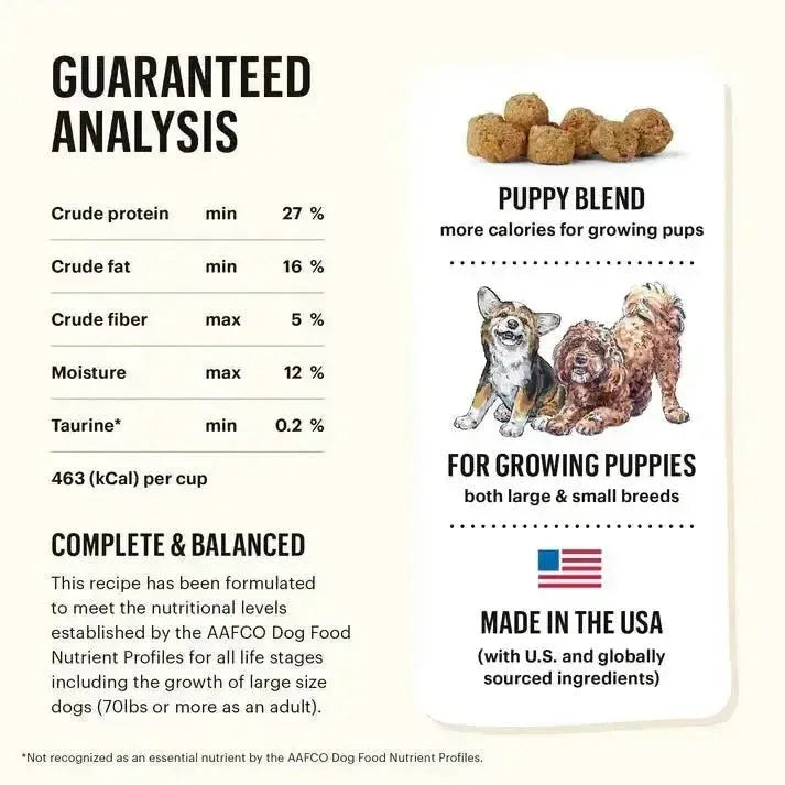 The Honest Kitchen Whole Food Clusters Grain Free Turkey Dry Dog Food - Talis Us