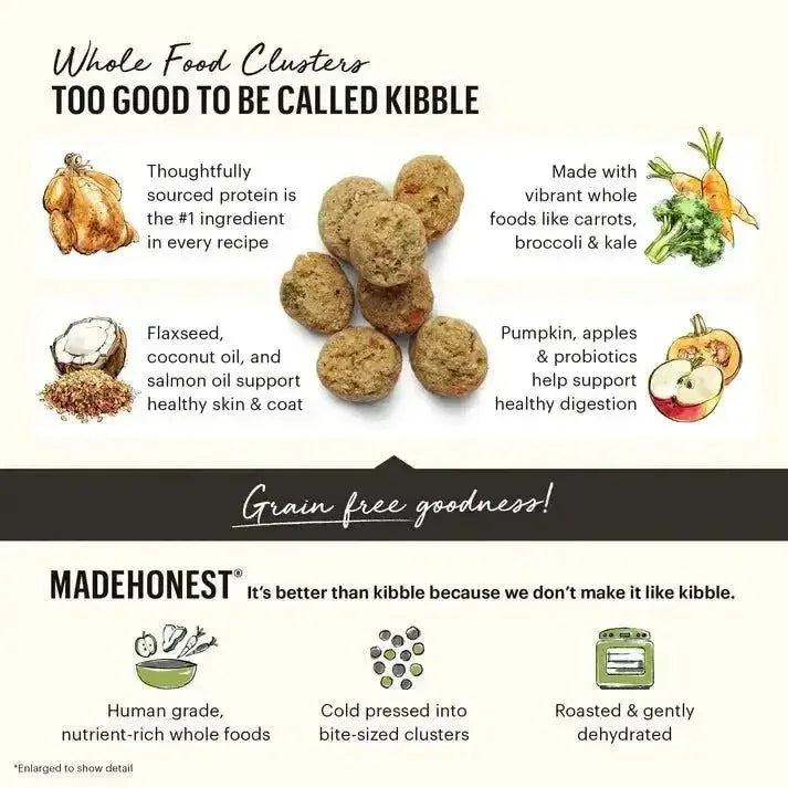The Honest Kitchen Whole Food Clusters Puppy Grain Free Chicken Dry Dog Food - Talis Us