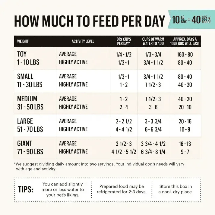 The Honest Kitchen Whole Grain Fish & Oat Recipe Dehydrated Dog Food - Talis Us