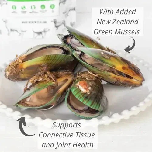 The New Zealand Natural Pet Food Co Woof Green Mussel Dog Treats 1.76oz - Talis Us