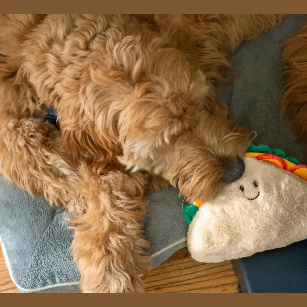 ThoozyPet Sandwich Dog Toy - Soft and Fun Plush Plaything 8” - Talis Us
