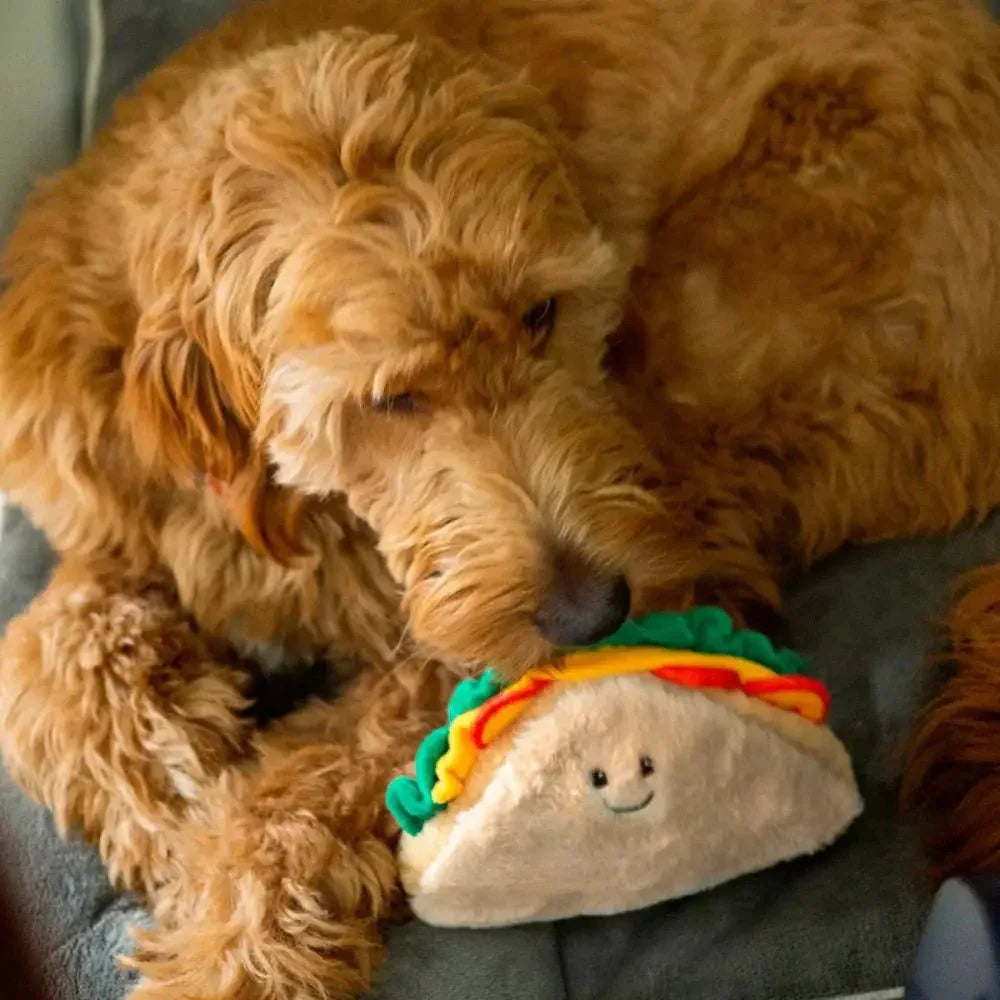 ThoozyPet Sandwich Dog Toy - Soft and Fun Plush Plaything 8” - Talis Us