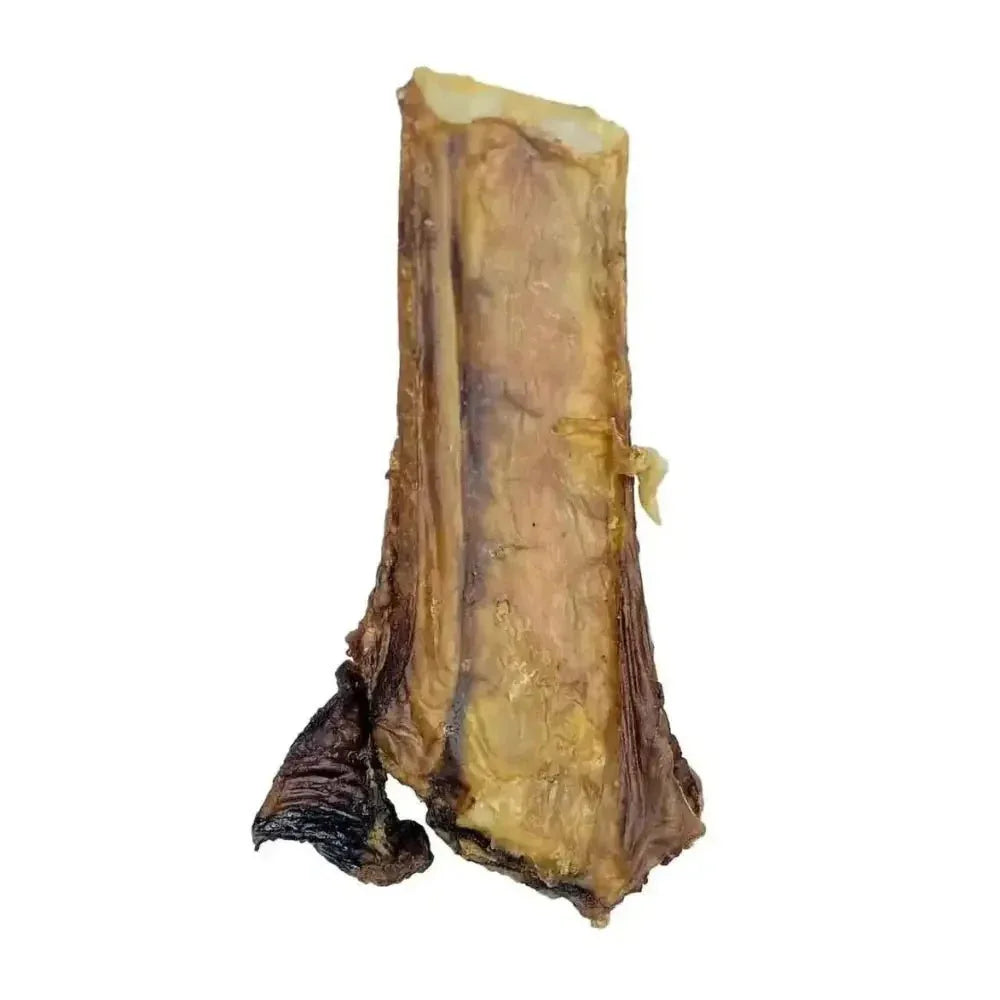 ThoozyPet USA - Sourced Beef Rib Bone Dog Chews 5 - 7" 50ct - Talis Us