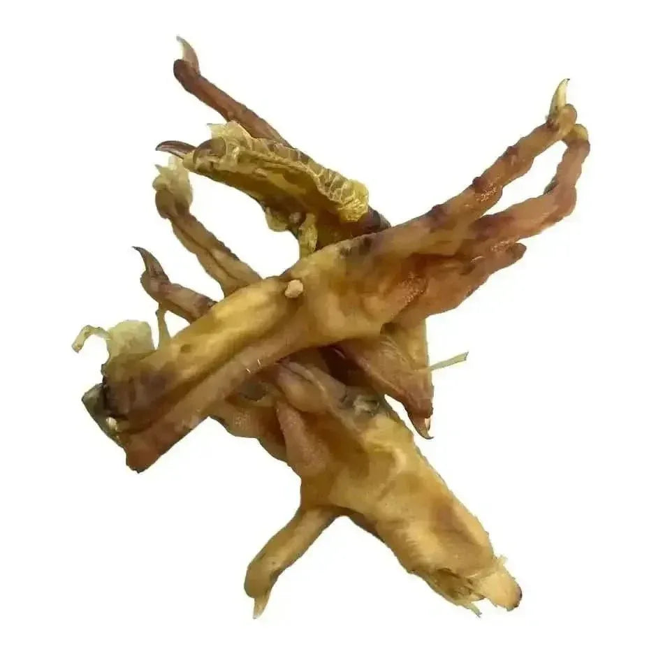 ThoozyPet USA - Sourced Chicken Feet Dog Chews 20ct - Talis Us