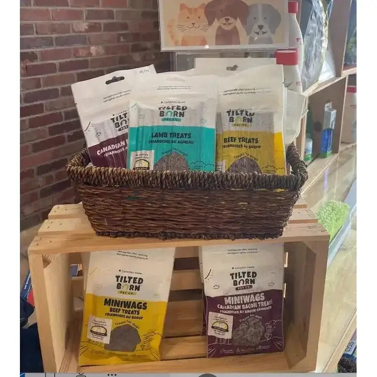 Tilted Barn Pet Beef Recipe Miniwags Dog Treats 3.53oz - Talis Us