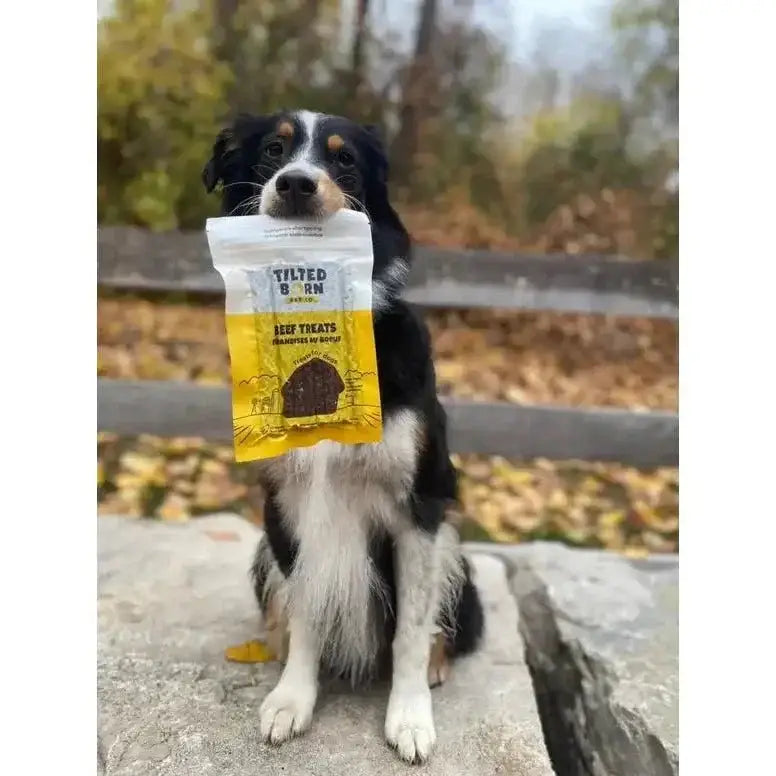 Tilted Barn Pet Company Beef Recipe Treats For Dogs 3.53oz - Talis Us