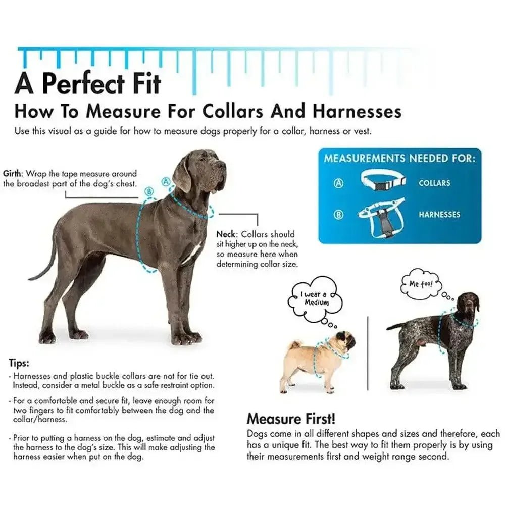 Titan® Easy - On Dog Prong Training Collar with Buckle - Talis Us
