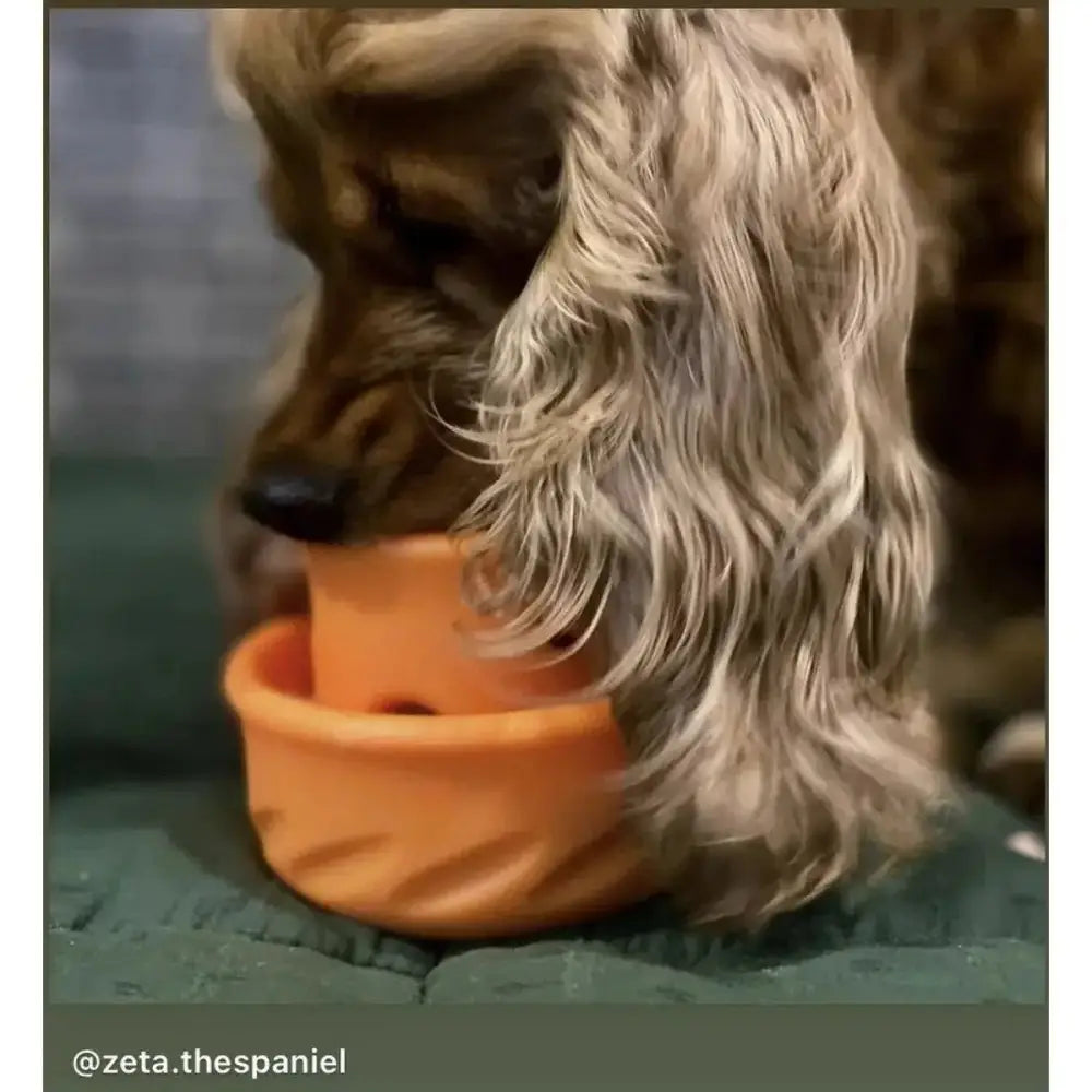 Totally Pooched Interactive Treat Puzzle Toy for Dog - Talis Us