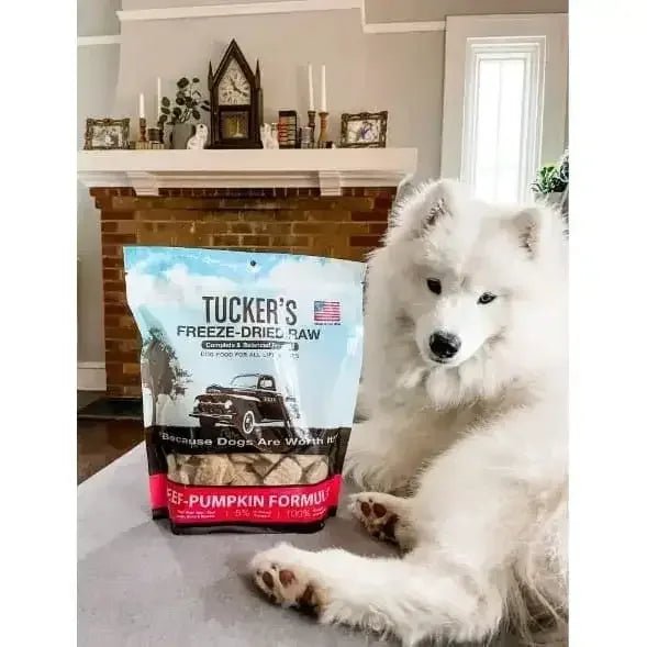 Tucker's® Beef - Pumpkin Complete and Balanced Freeze - Dried Diets for Dogs, 14 Oz - Talis Us