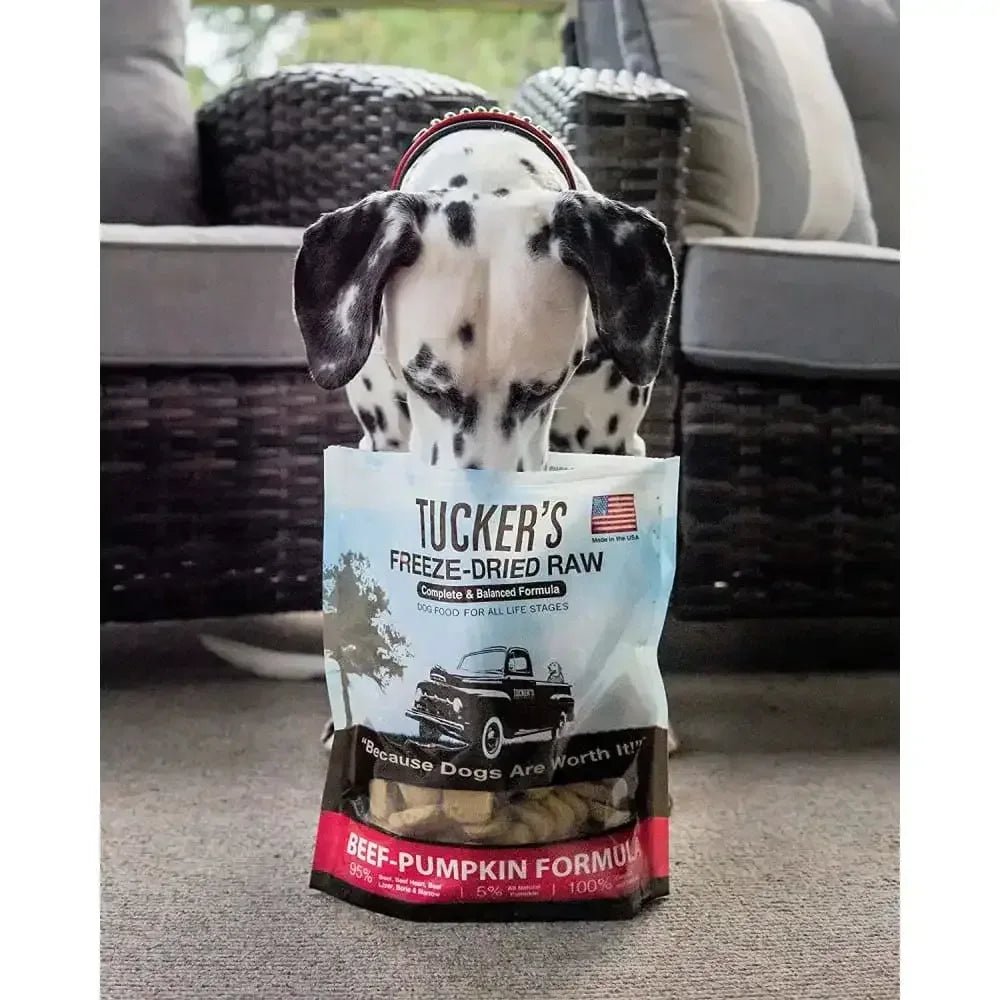 Tucker's® Beef - Pumpkin Complete and Balanced Freeze - Dried Diets for Dogs, 14 Oz - Talis Us