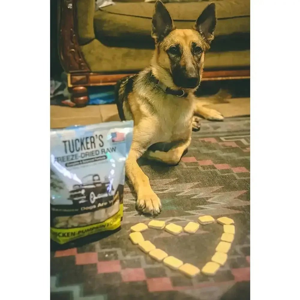 Tucker's® Chicken - Pumpkin Formula Freeze - Dried Dog Food, 14 Oz - Talis Us