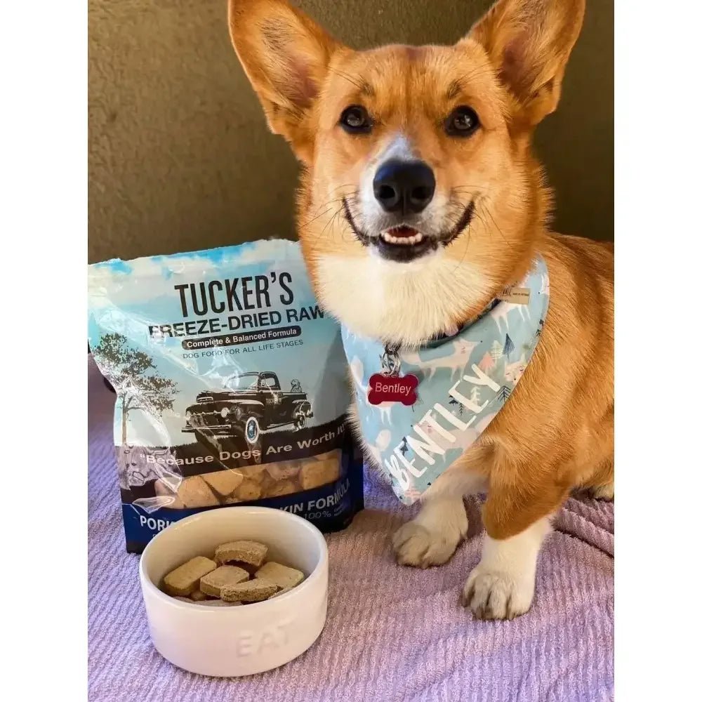 Tucker's® Pork - Bison - Pumpkin Formula Freeze - Dried Dog Food, 14 Oz - Talis Us