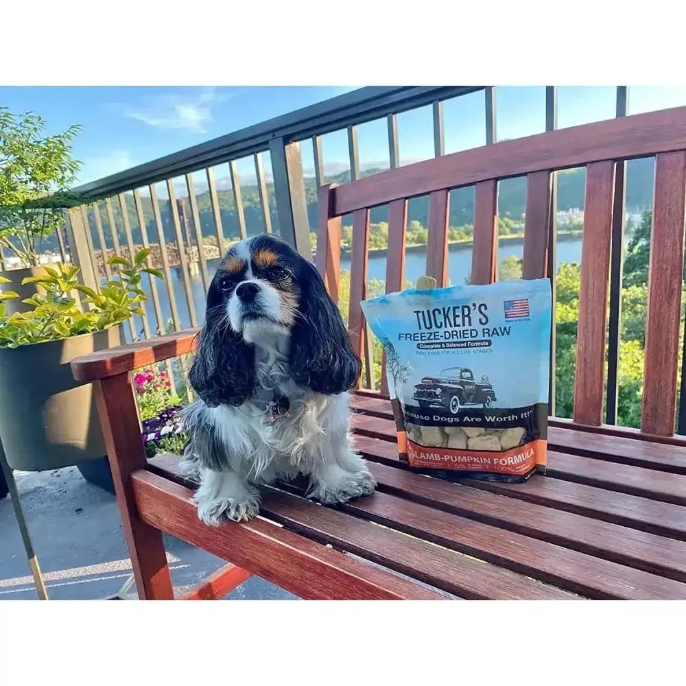 Tucker's® Pork - Lamb - Pumpkin Formula Freeze - Dried Dog Food, 14 Oz - Talis Us