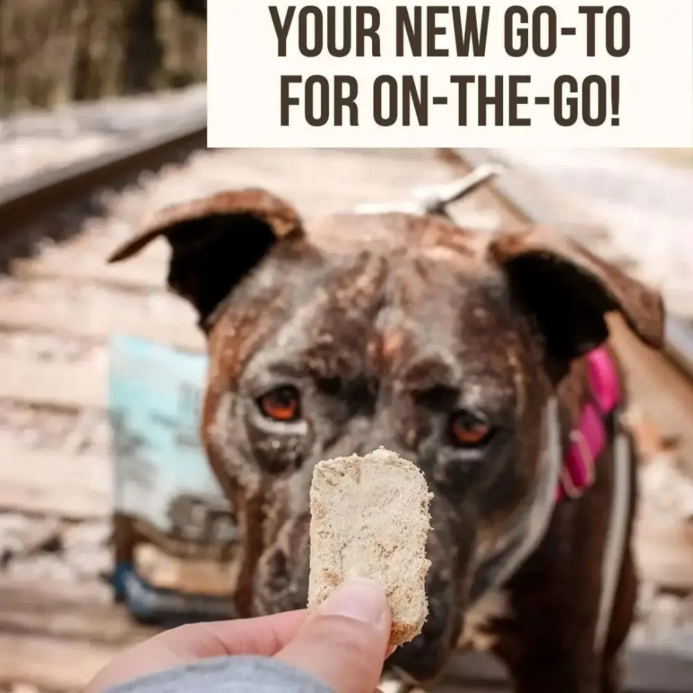 Tucker's® Turf & Surf Formula Freeze-Dried Dog Food, 14 Oz Tucker's