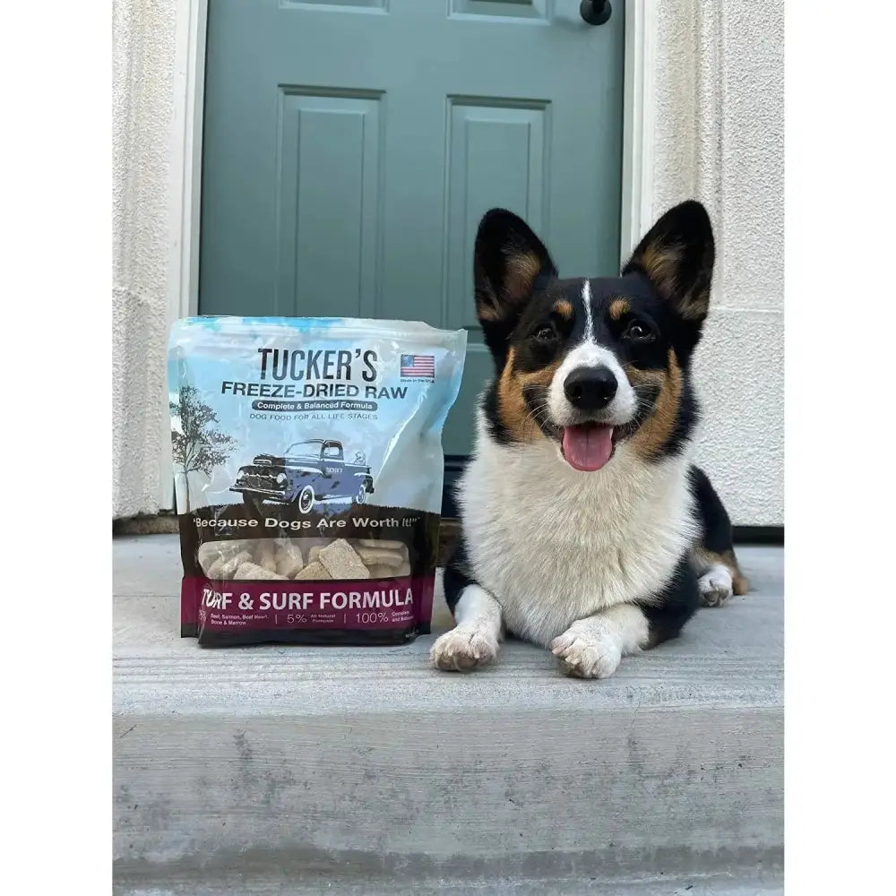 Tucker's® Turf & Surf Formula Freeze-Dried Dog Food, 14 Oz Tucker's