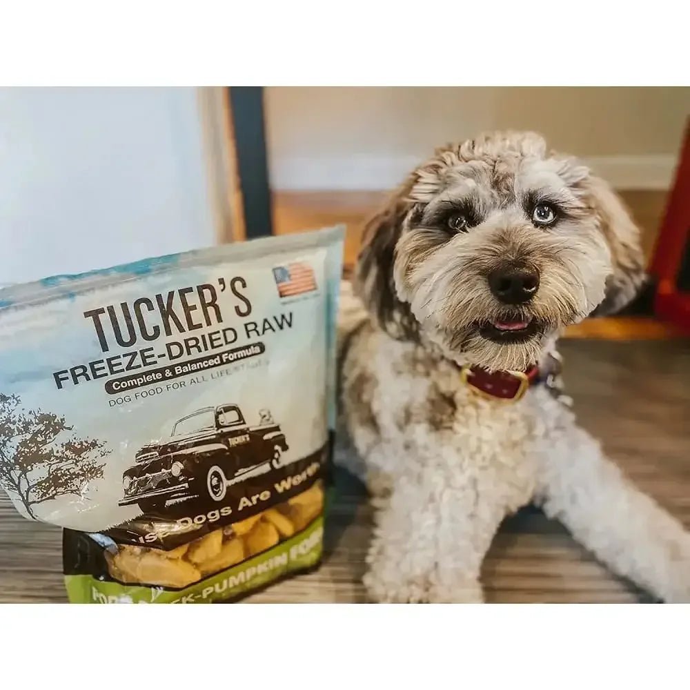 Tucker's® Raw Basics Pork - Duck - Pumpkin Raw Frozen Food For Dogs - Talis Us