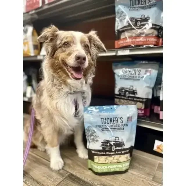 Tucker's® Raw Basics Pork - Duck - Pumpkin Raw Frozen Food For Dogs - Talis Us