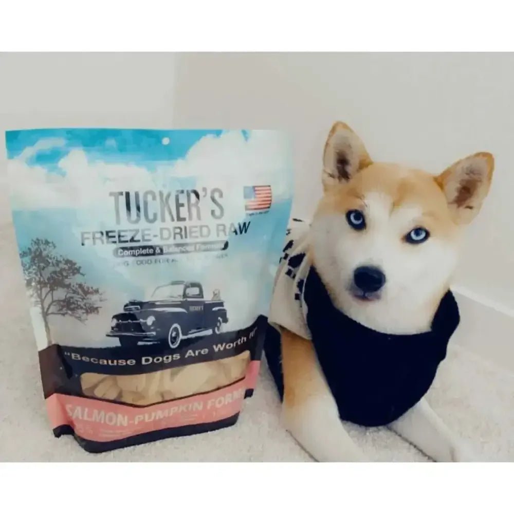 Tucker's® Salmon - Pumpkin Formula Freeze - Dried Dog Food, 12 Oz - Talis Us