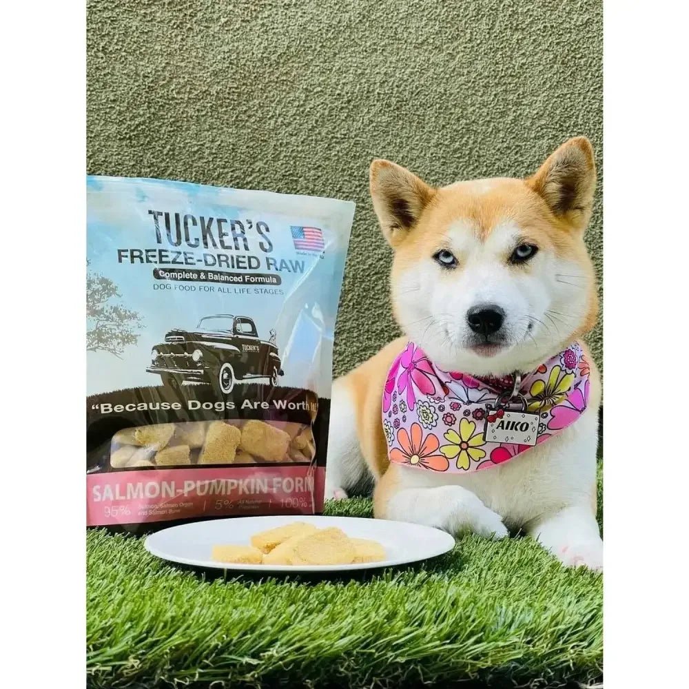 Tucker's® Salmon - Pumpkin Formula Freeze - Dried Dog Food, 12 Oz - Talis Us