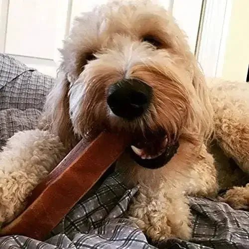 Turmeric Yak Milk Chews for Dogs Chew Dog Treat - Talis Us