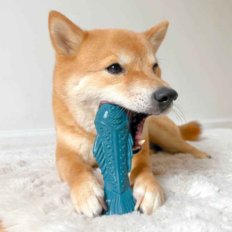 Nylabone Power Chew Love Our Oceans Textured Fish Dog Chew Toy